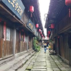 他改良碱地西红柿种植方法,实现一年两茬,带领当地农户发家致富